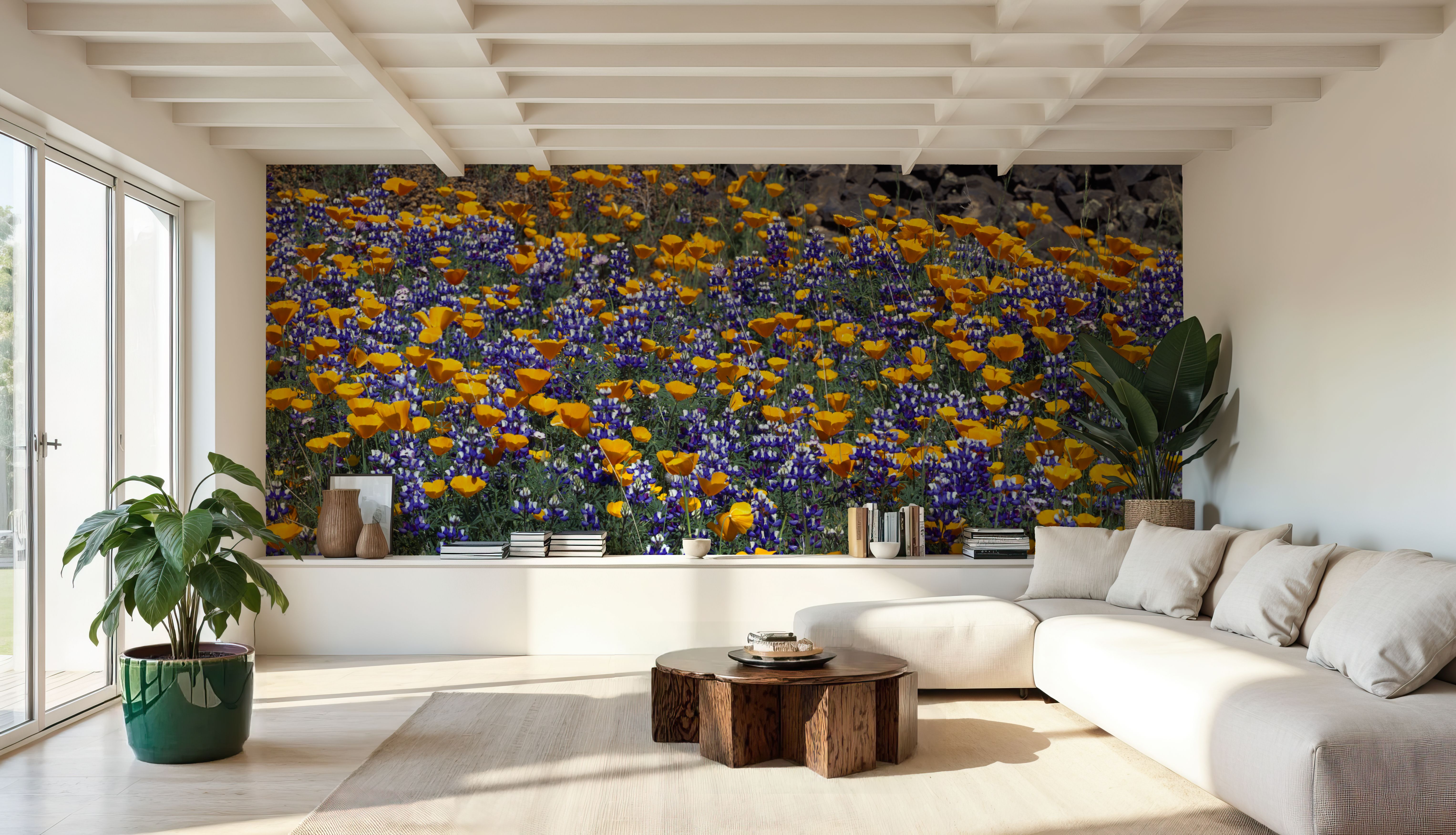 Poppy and Lupine Meadow