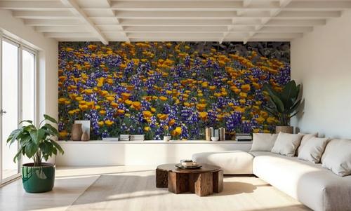 Poppy and Lupine Meadow