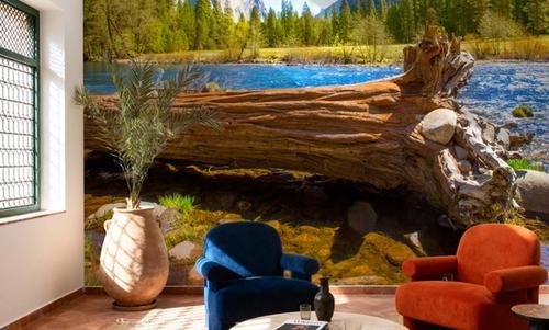 Merced River Log