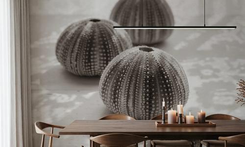 Urchins in Lace II