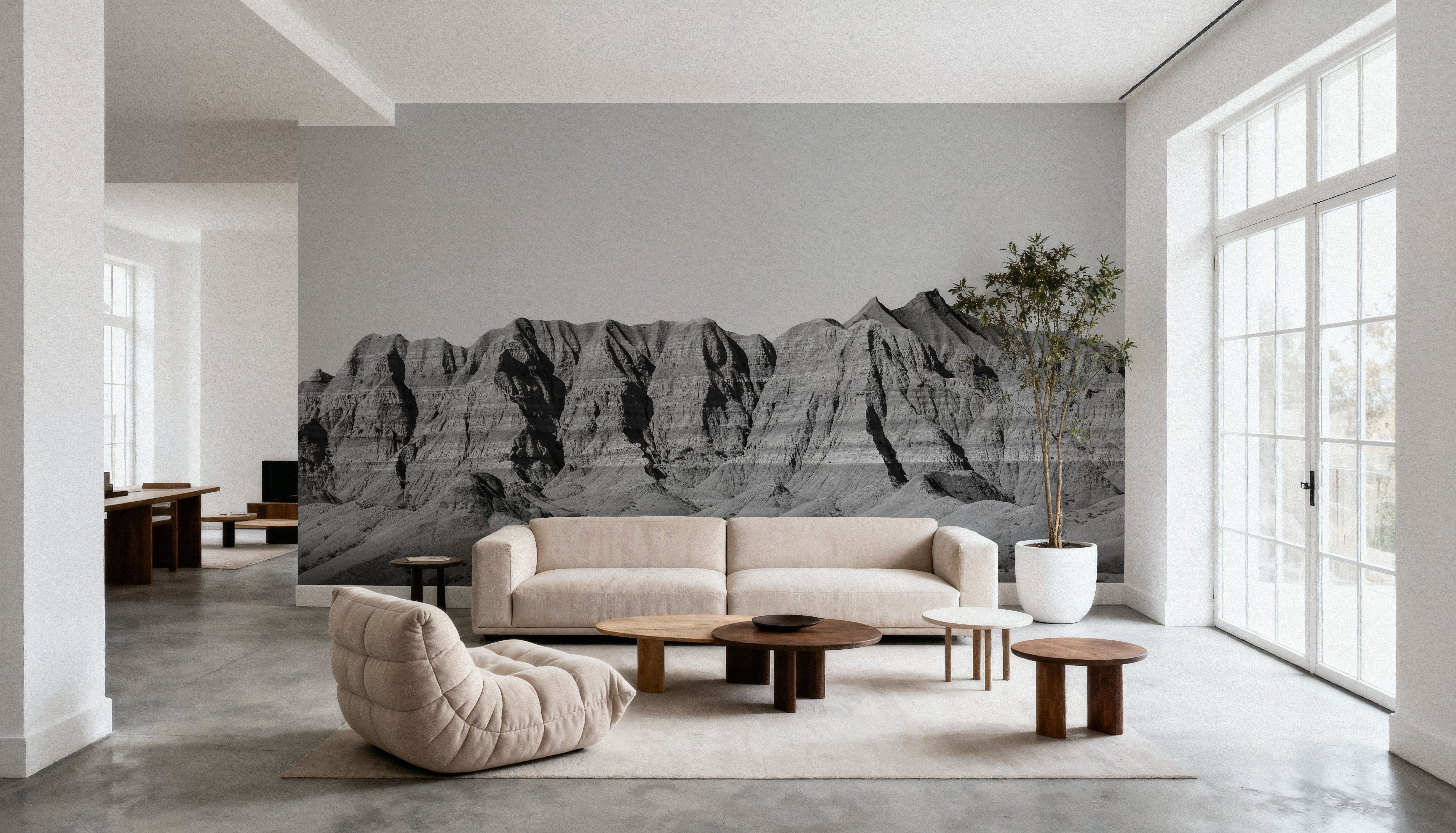 Badlands Black And White