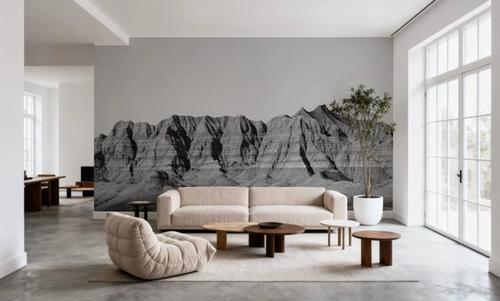 Badlands Black And White