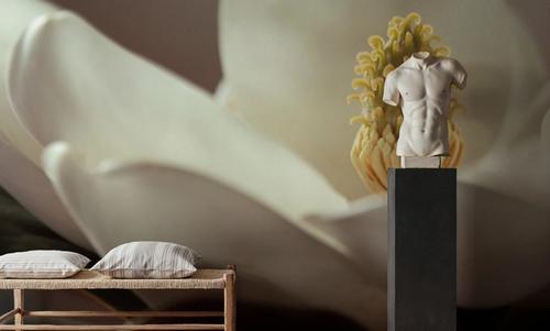 Magnolia Detail II