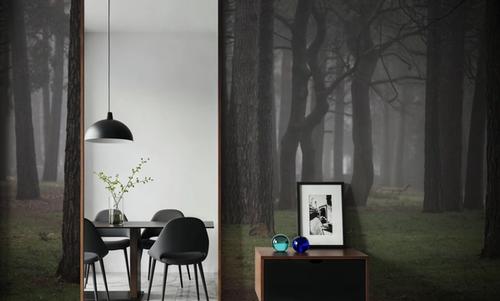 Mysterious Woods