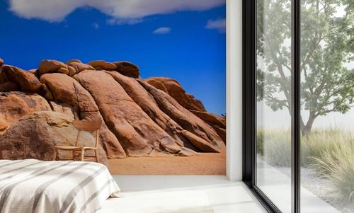 Joshua Tree Blue I