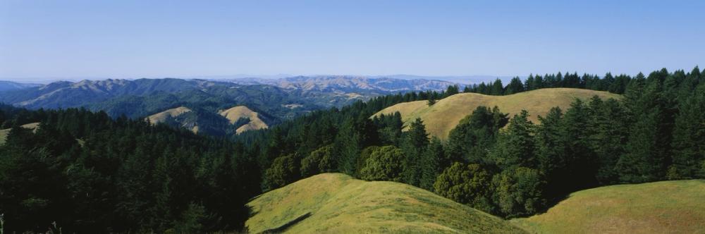 Emerald Hillside Vista