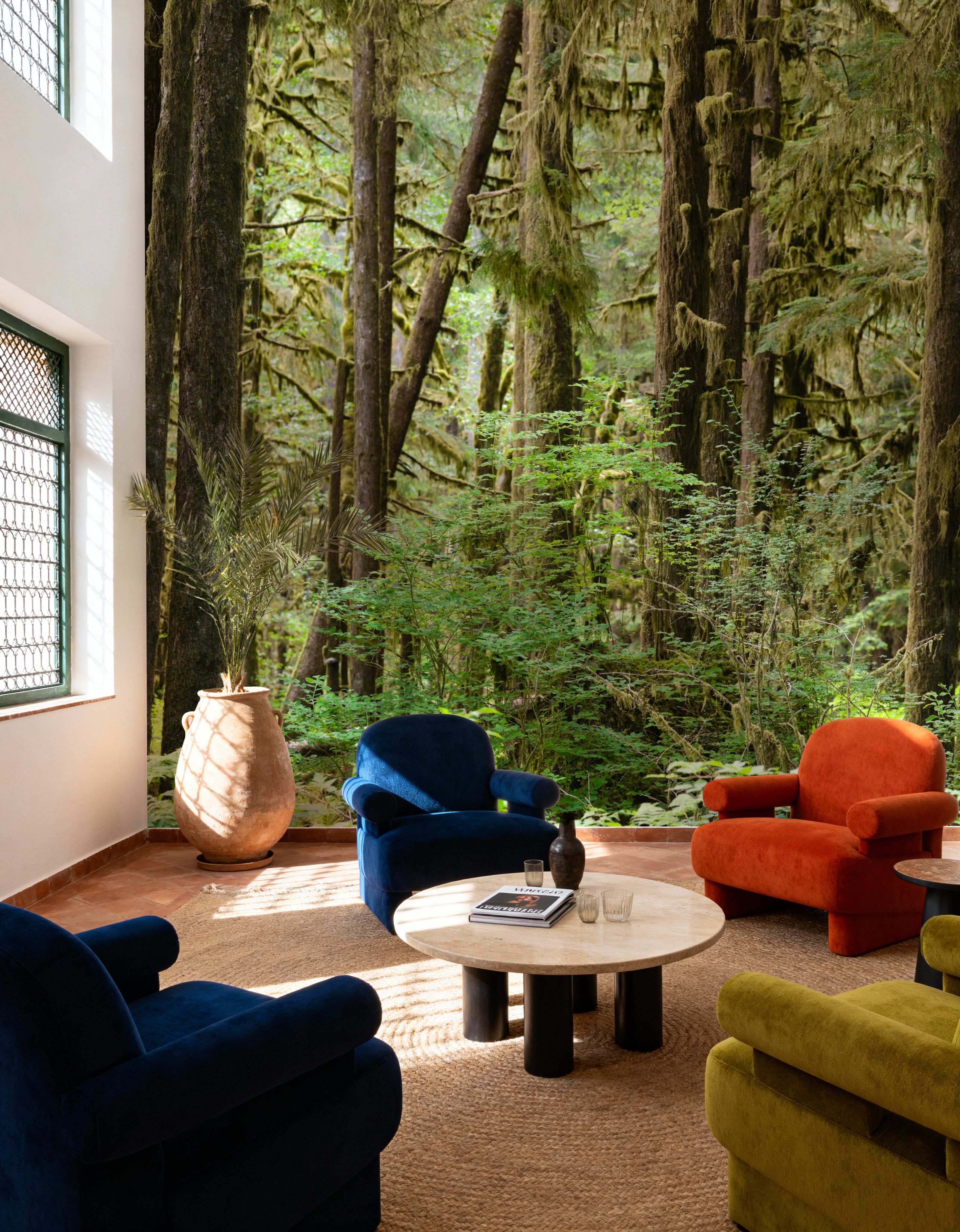 Bright Quinault Rainforest