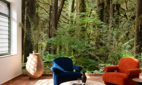 Bright Quinault Rainforest