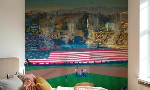 Baseball Dreams