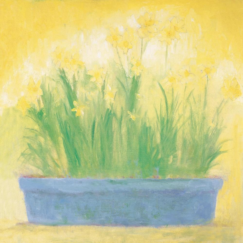 Window Box with Narcissi