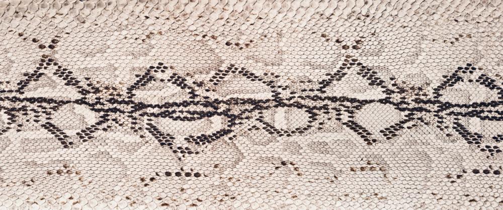 Black & White Python