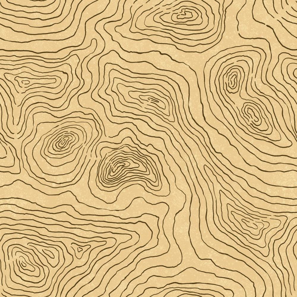 Contours of The Land