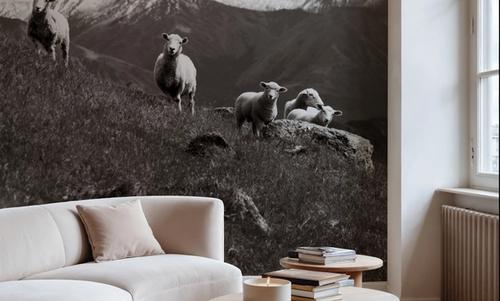 Wanaka Sheep III