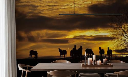 Horses at Sunset