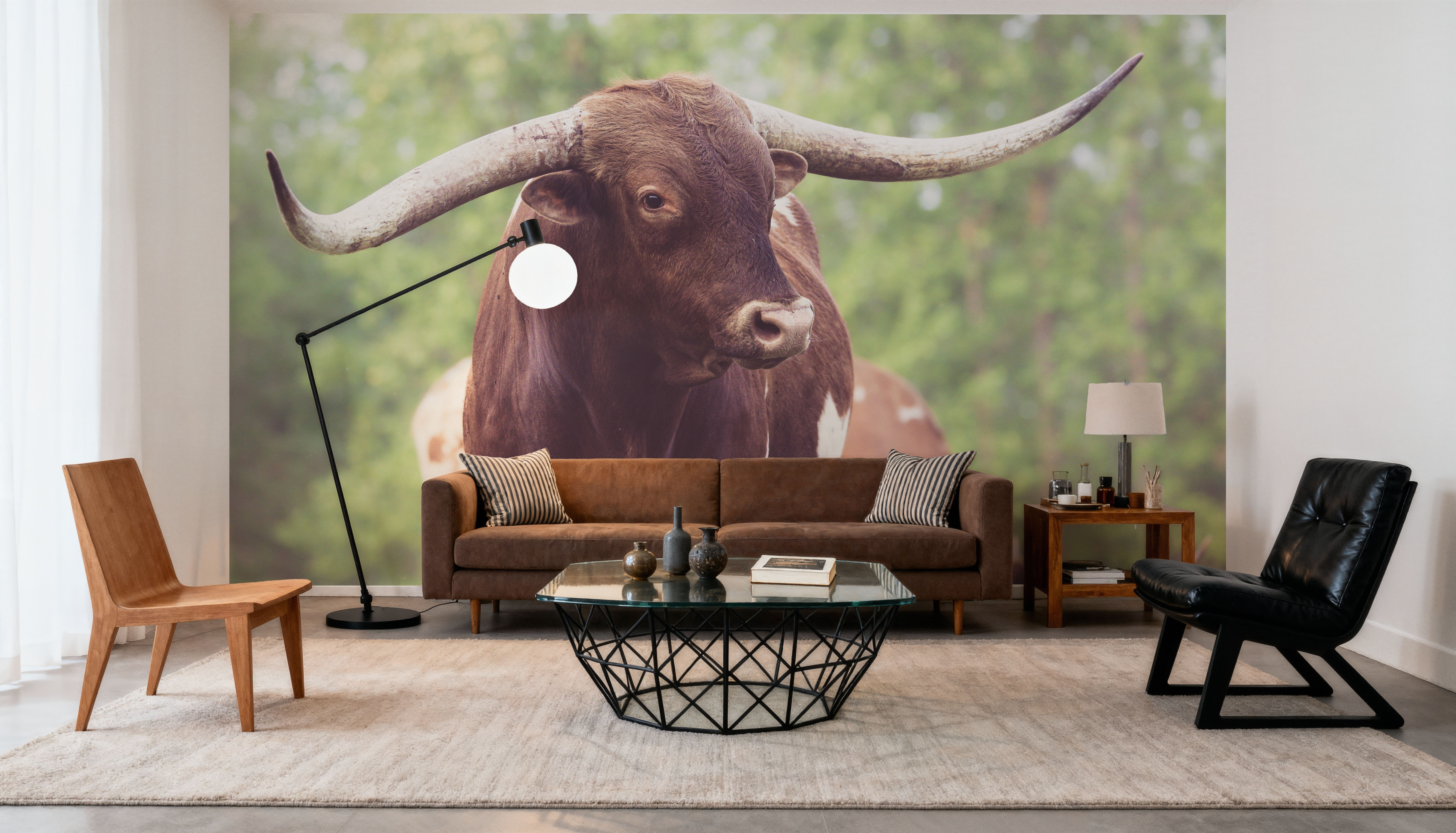 Longhorn Gaze I