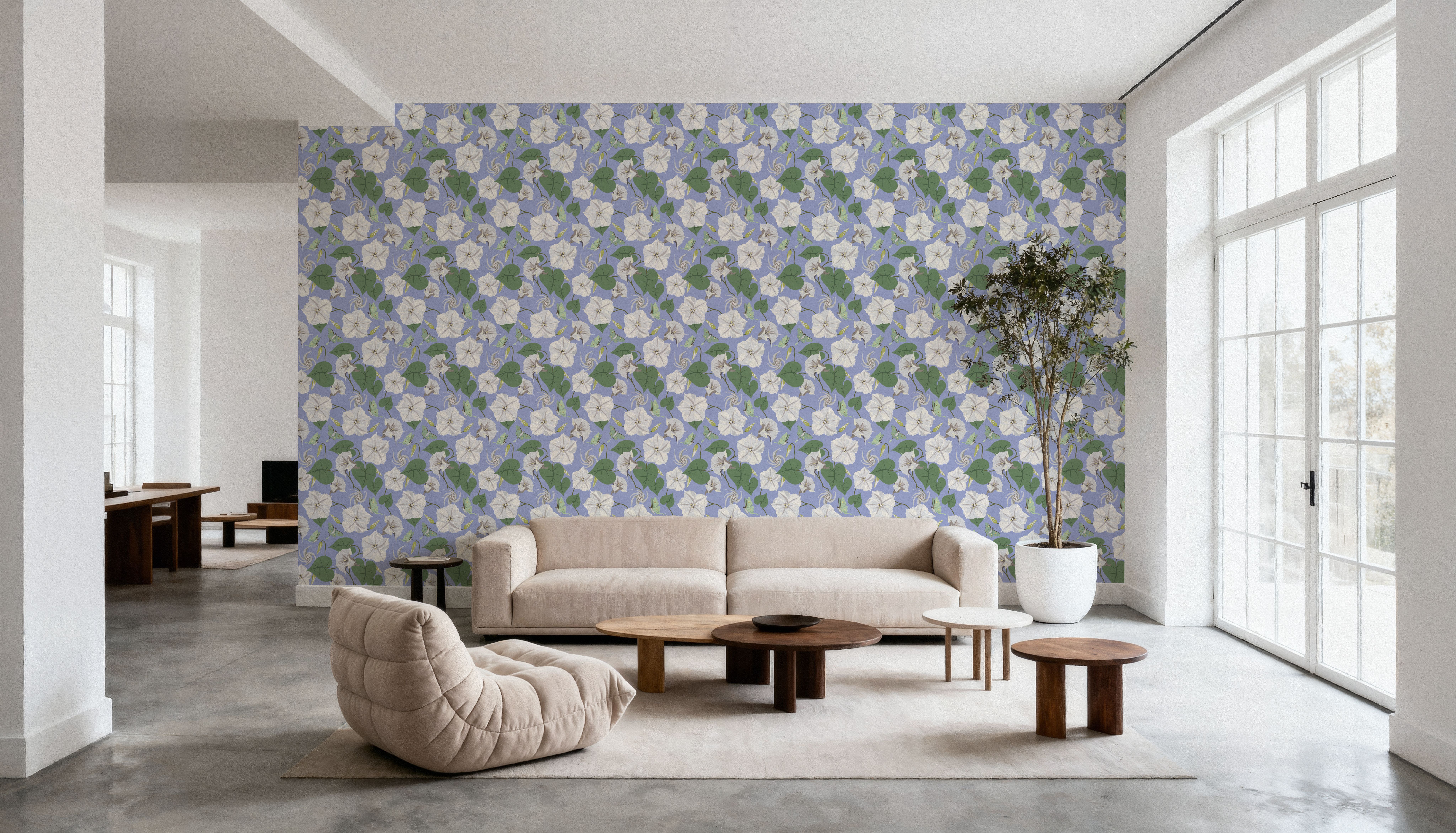 Moon Vine, Light Blue