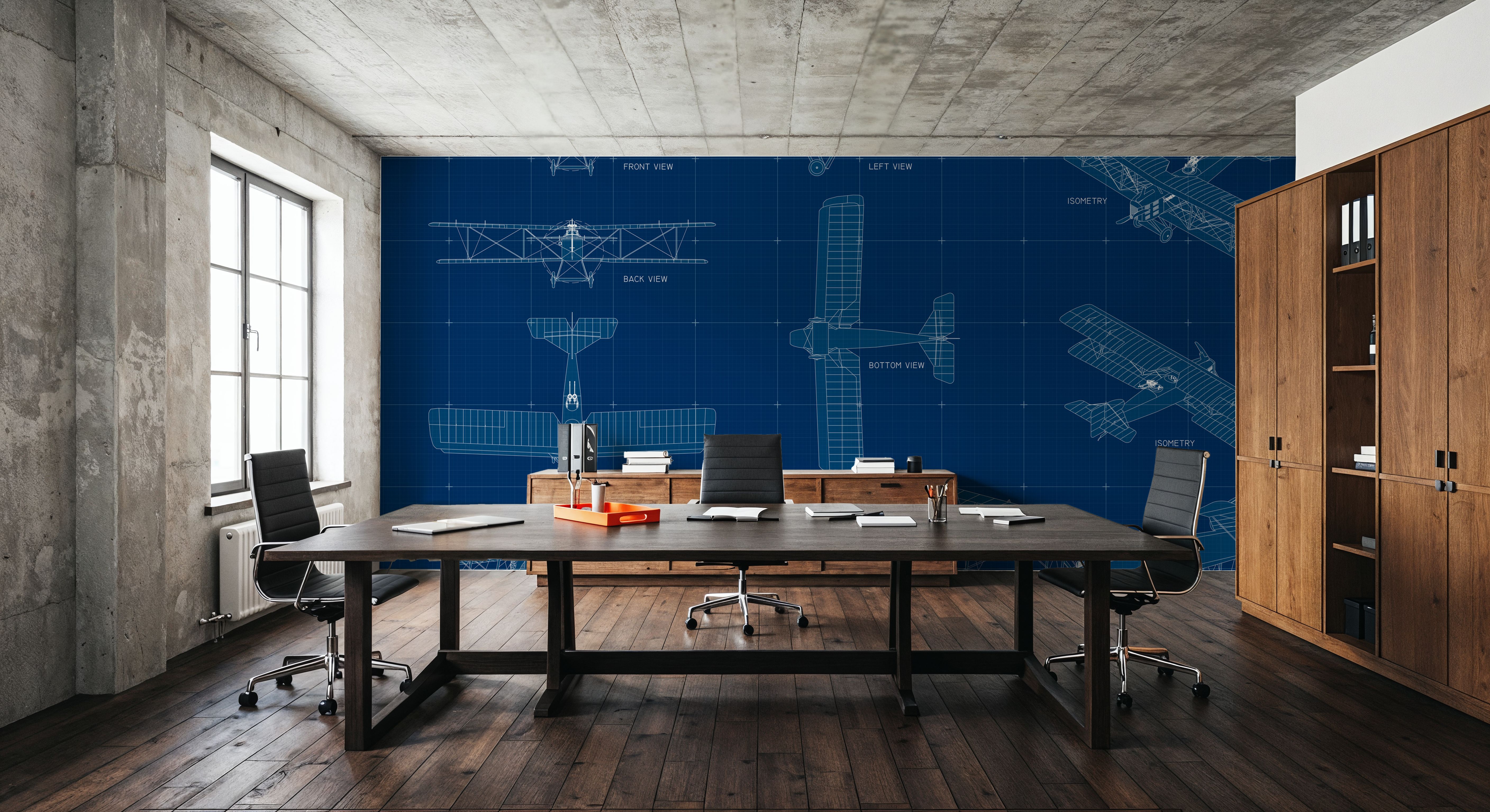 Biplane Blueprint