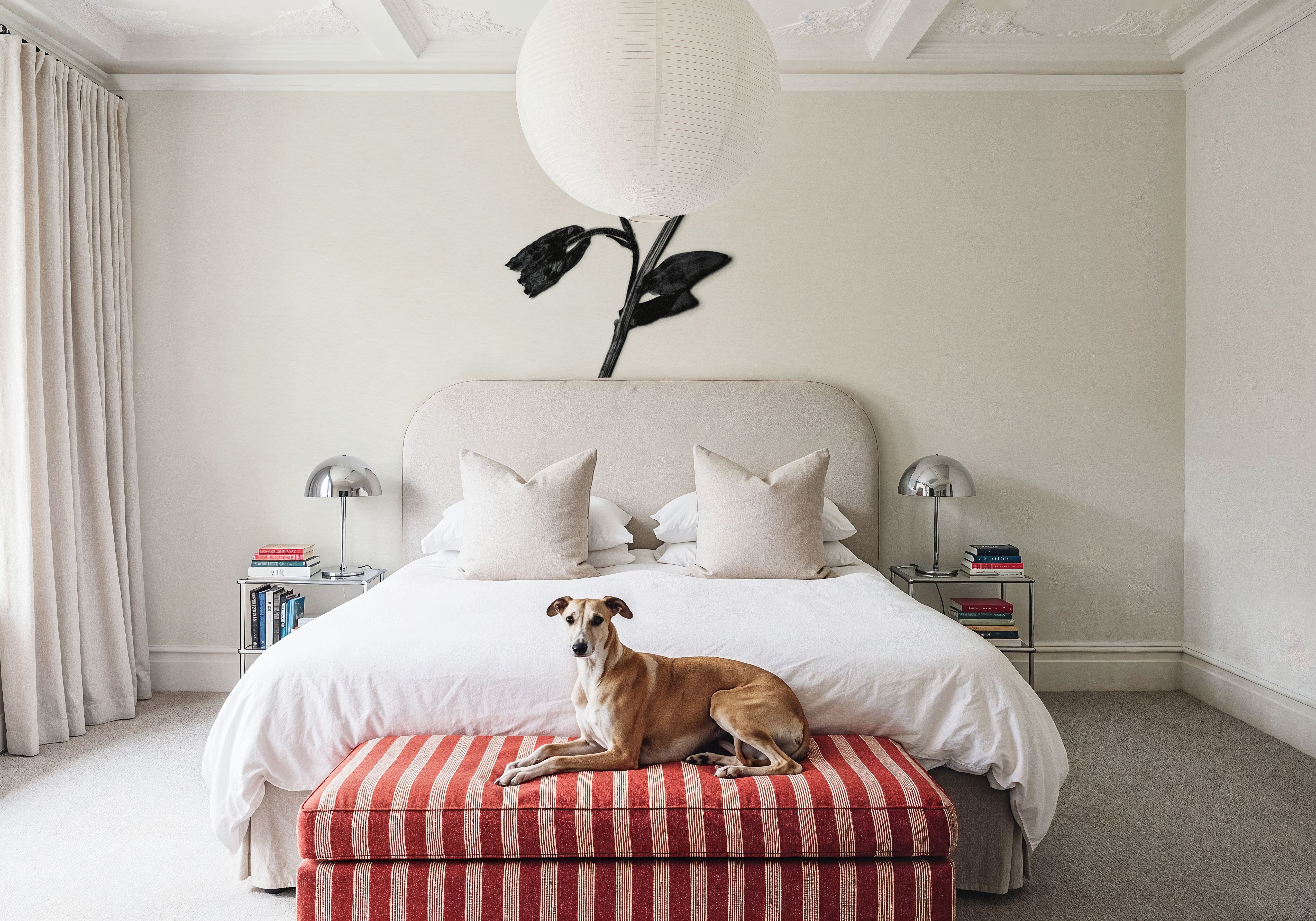 Field Journal Entry II