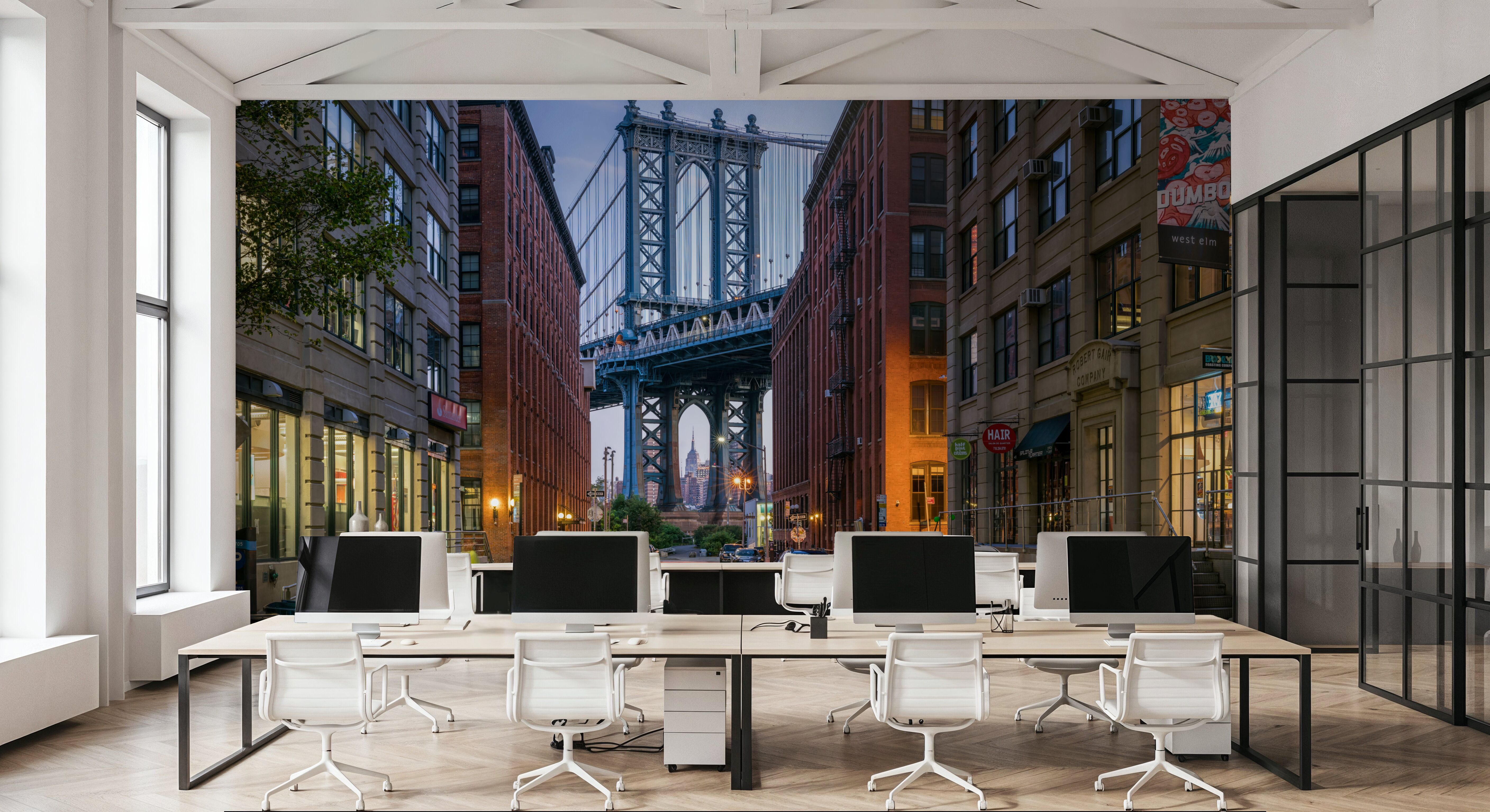Manhattan Bridge from Dumbo