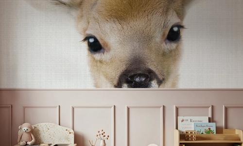 Peekaboo Baby Deer