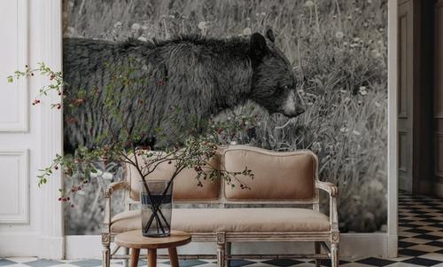 Black Bear Meadow BW