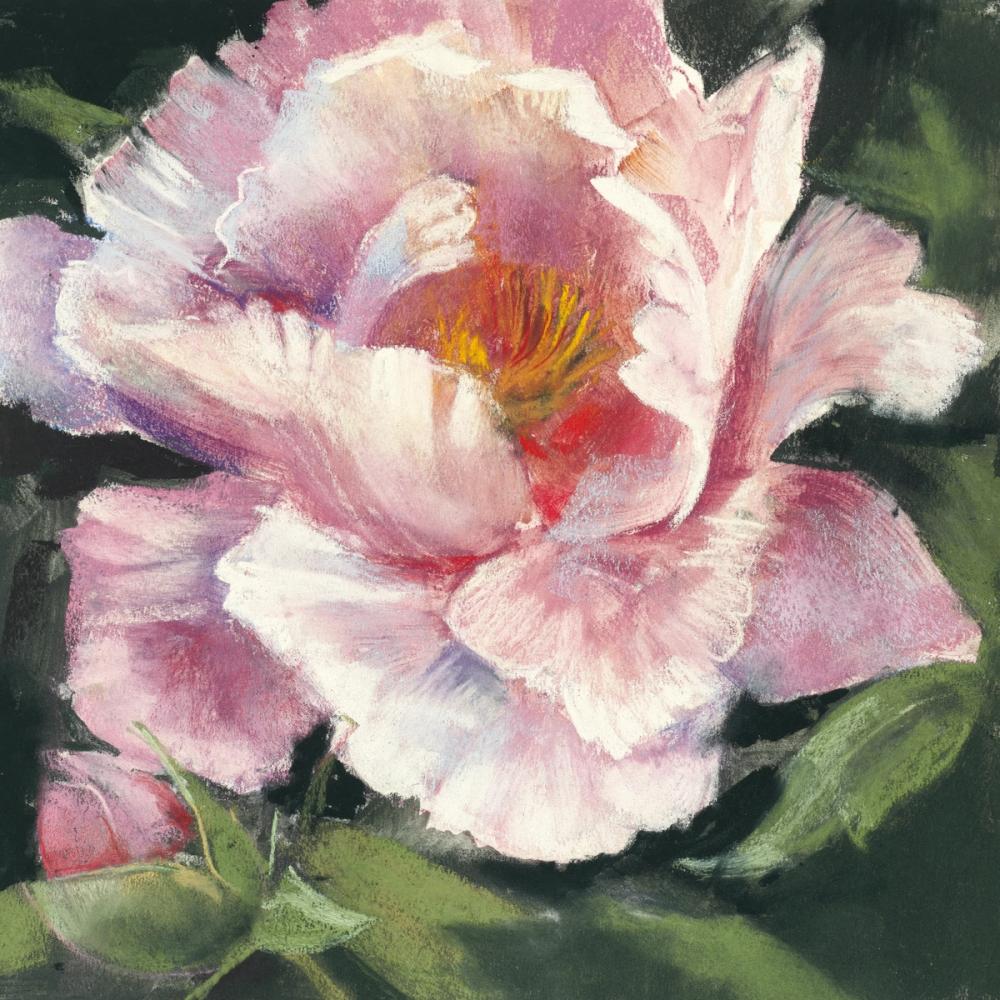 Peony II