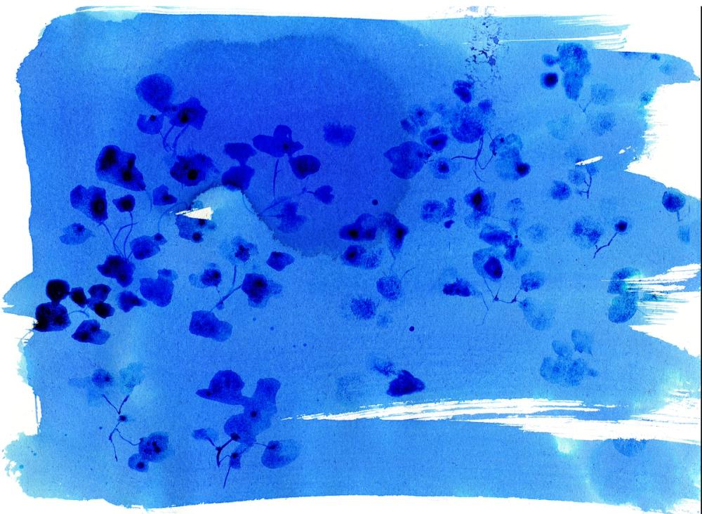 Singing Cloud, Indigo