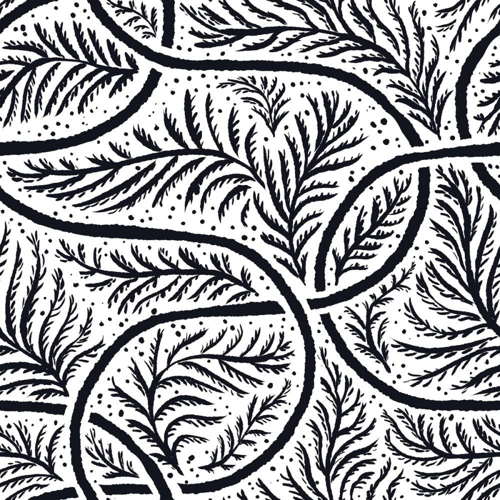 Fern Forest, Salt & Pepper