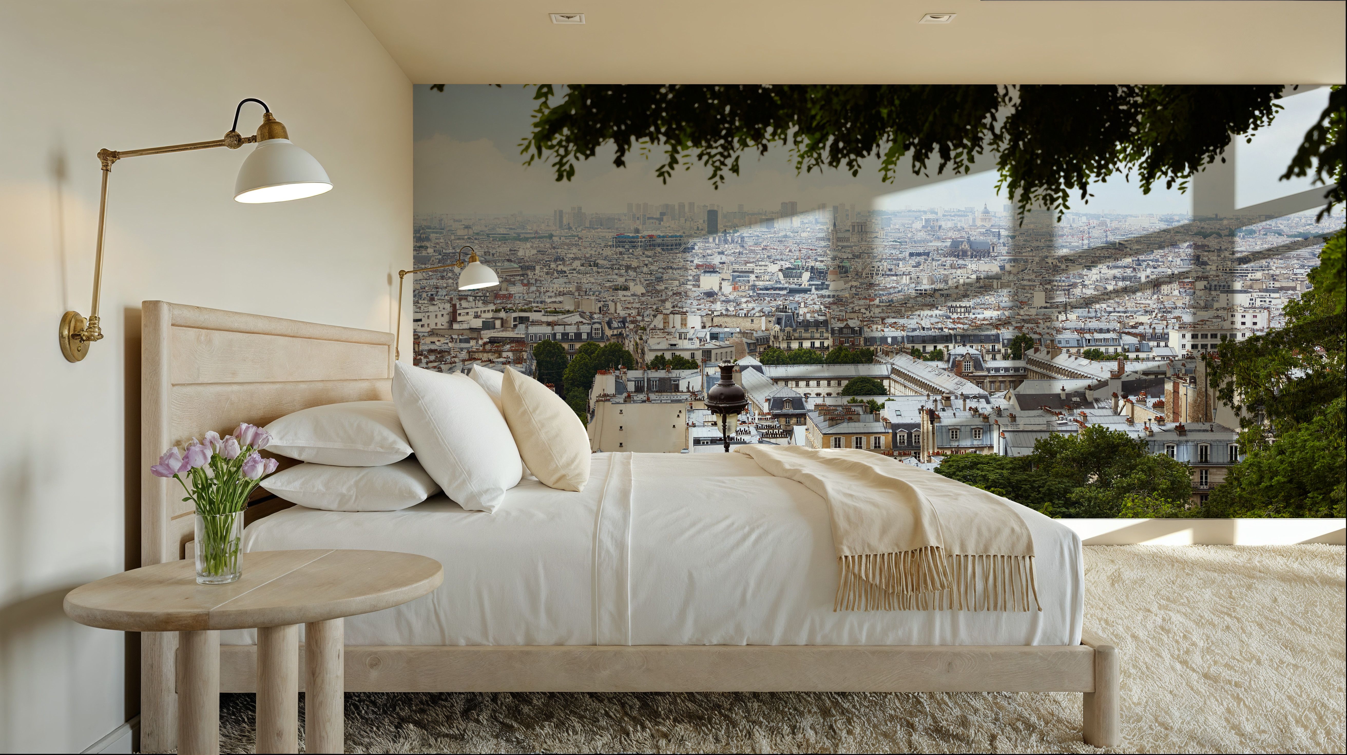 Paris Skyline From Montmartre