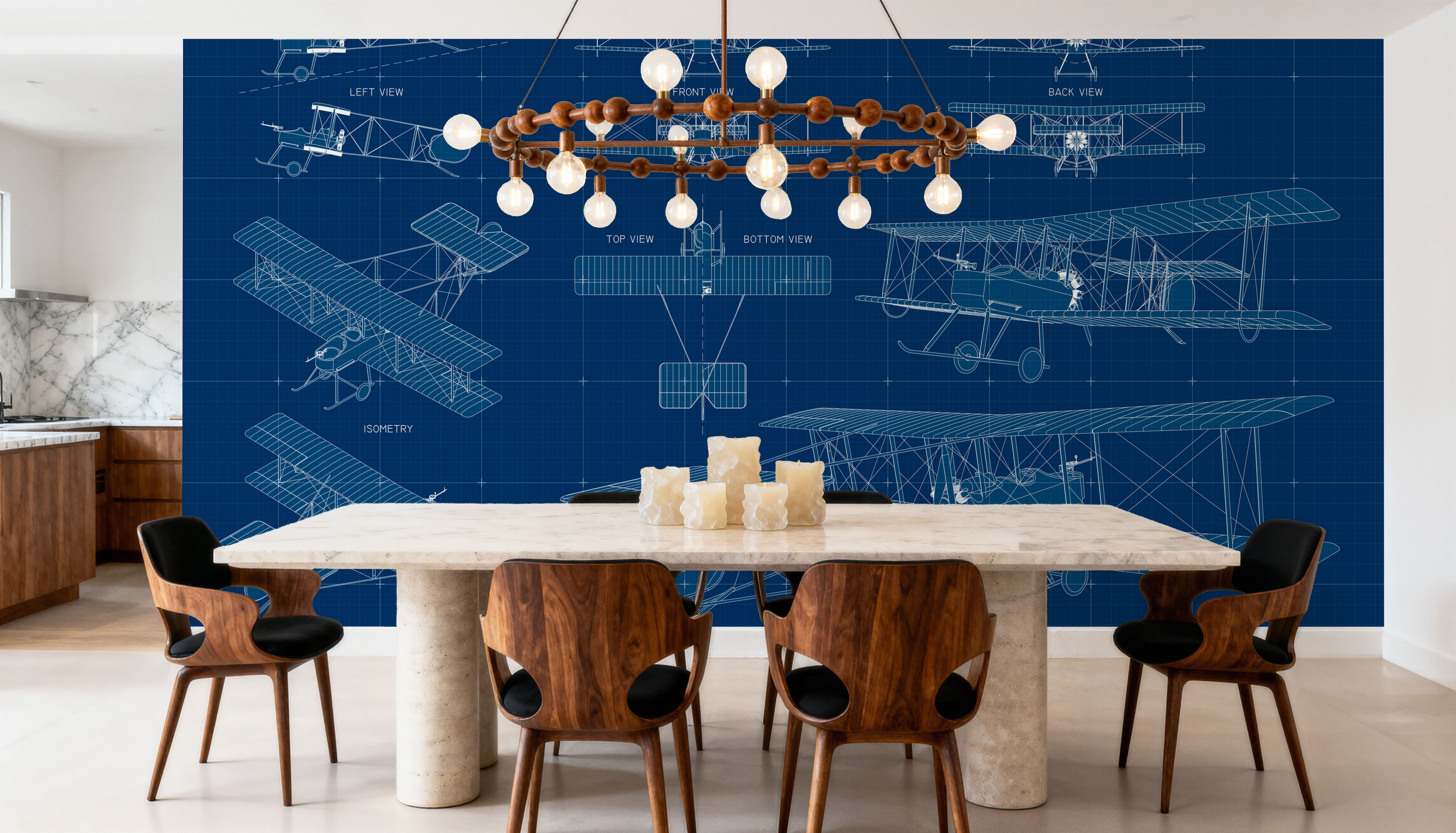 Single Biplane Blueprint