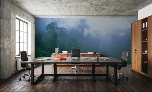 Misty Belize