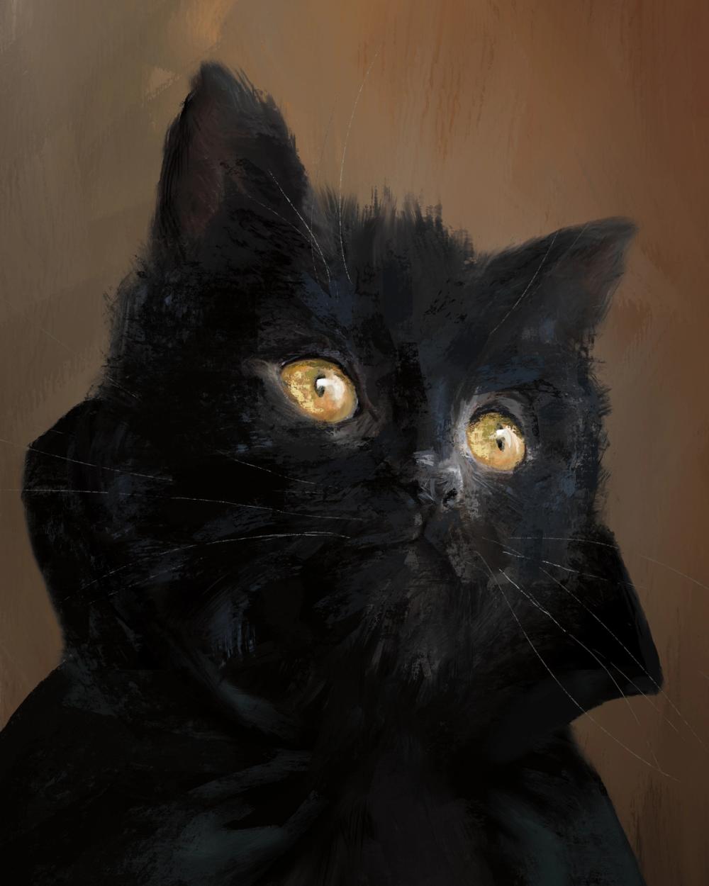 Black Cat Portrait
