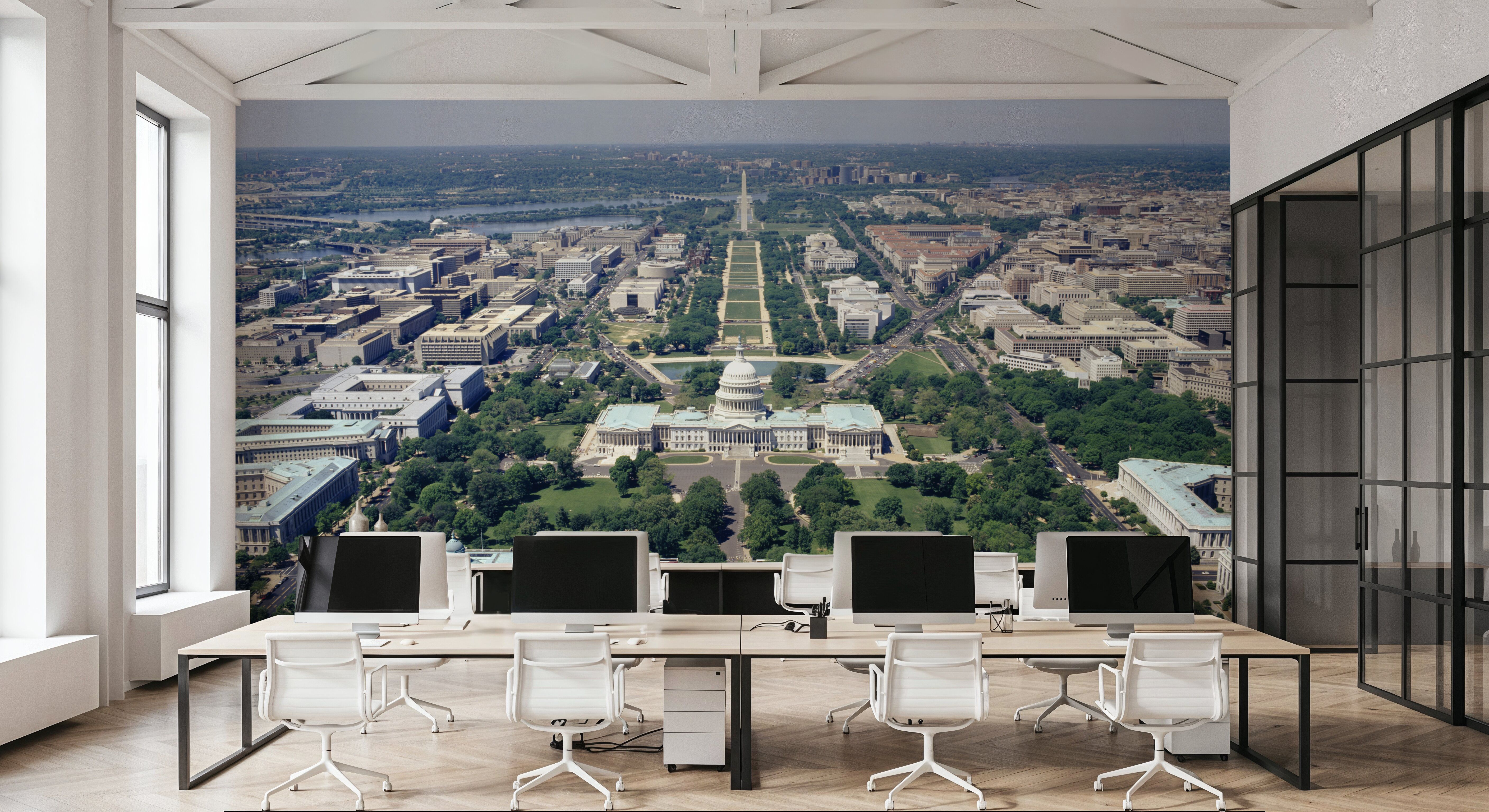 Capitol Vista, Wallpaper