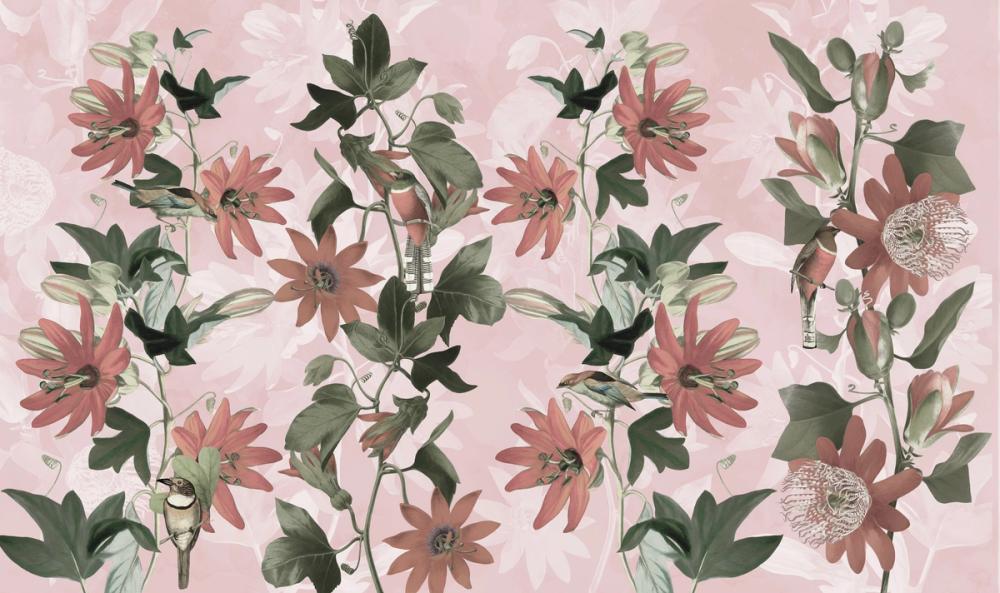 Contemporary Clematis 