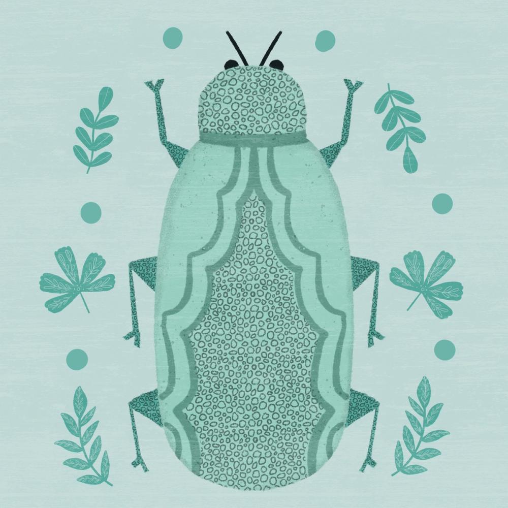 Playful Bugs I