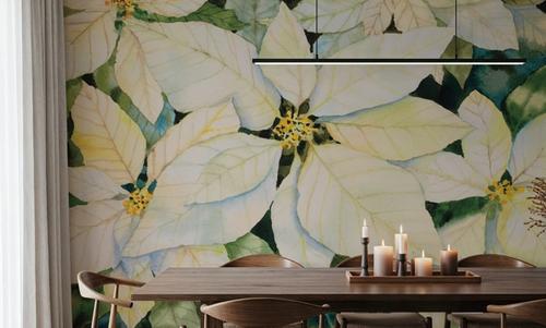 White Poinsettia