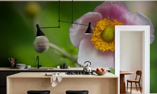 Autumn Anemone