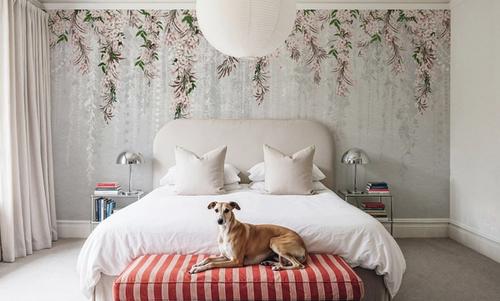 Jasmine Bower Anemone White