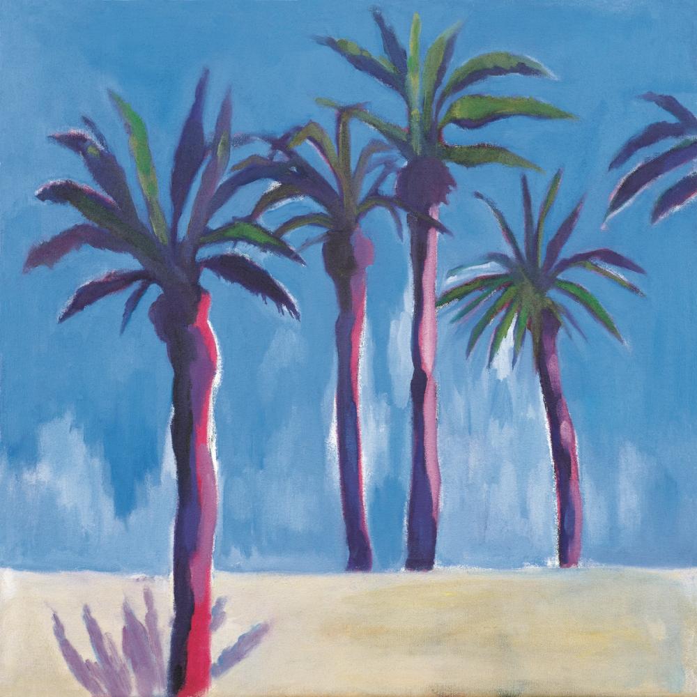 Palm Trees Morocco
