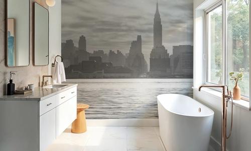 Metropolitan Silhouette