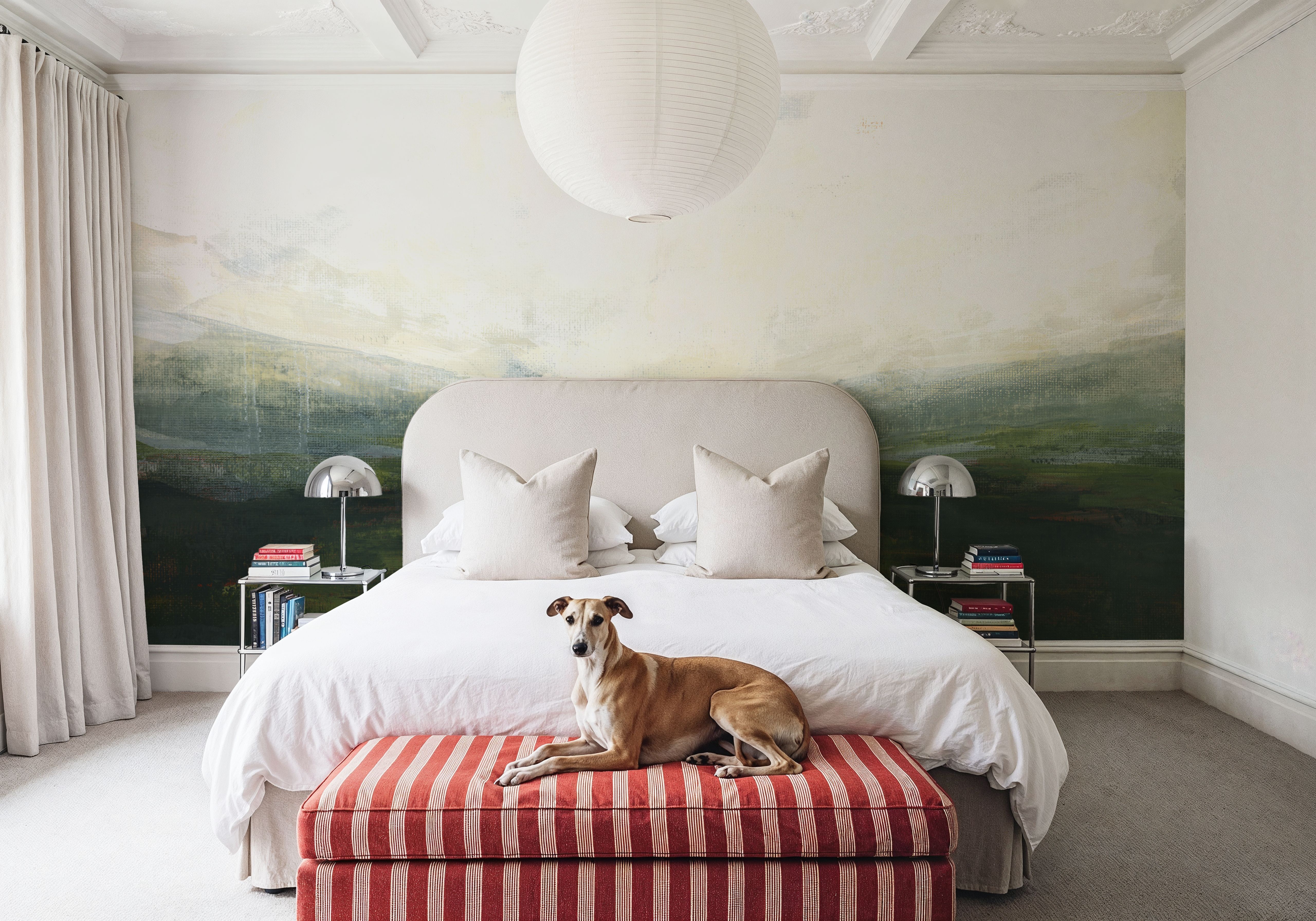 Evergreen Basin, Tapeten