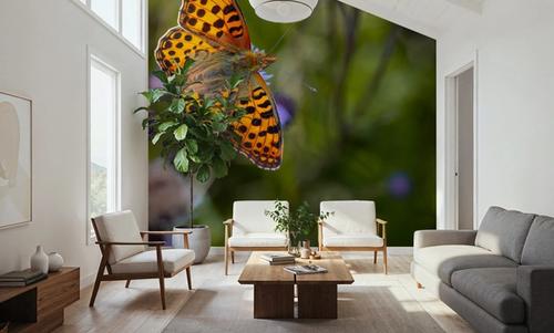 Butterfly Wings