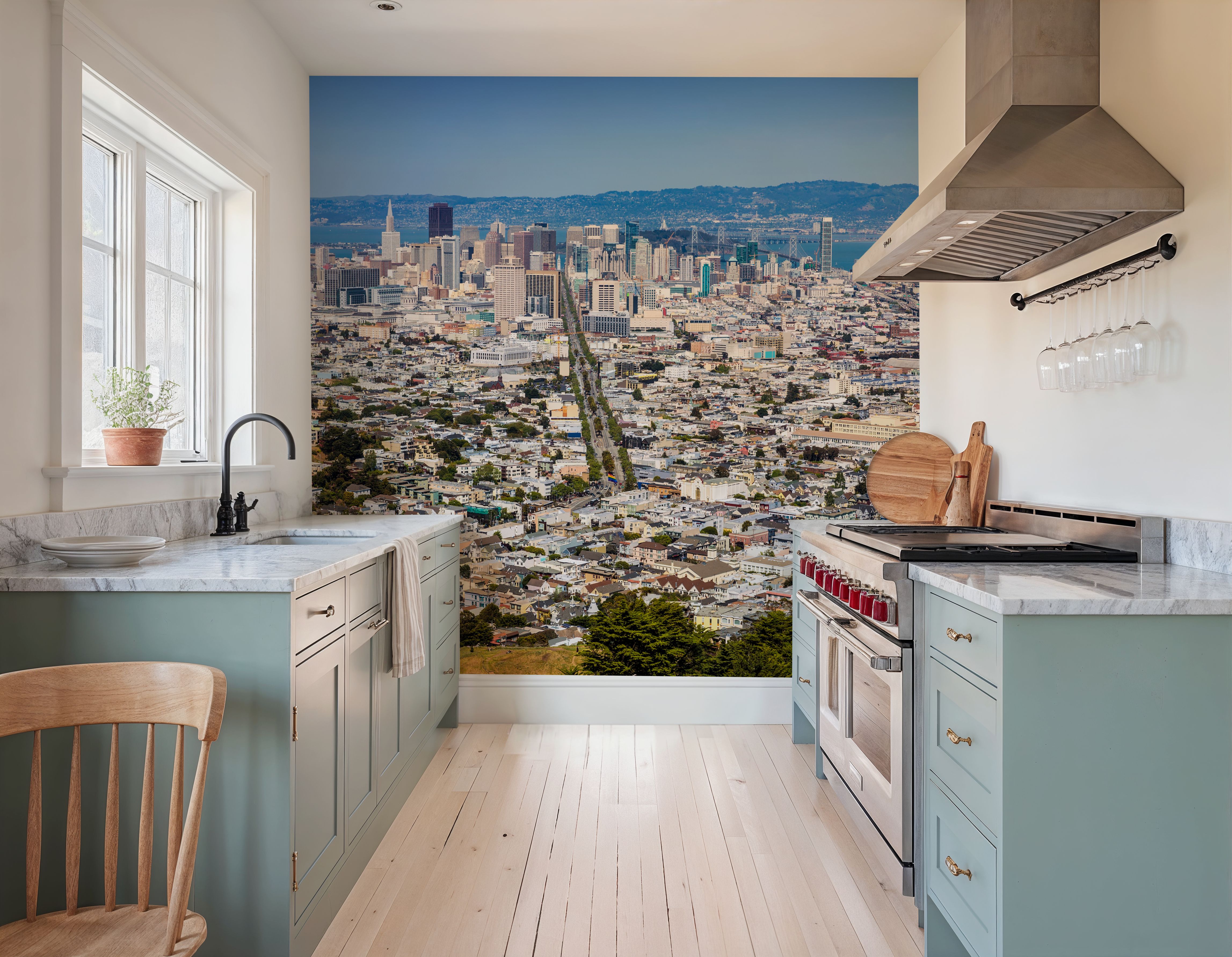 San Francisco Cityscape