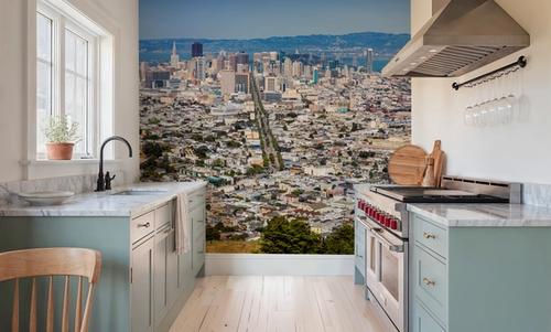 San Francisco Cityscape