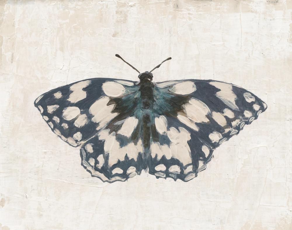 Garden Beauties IV Honeybloom