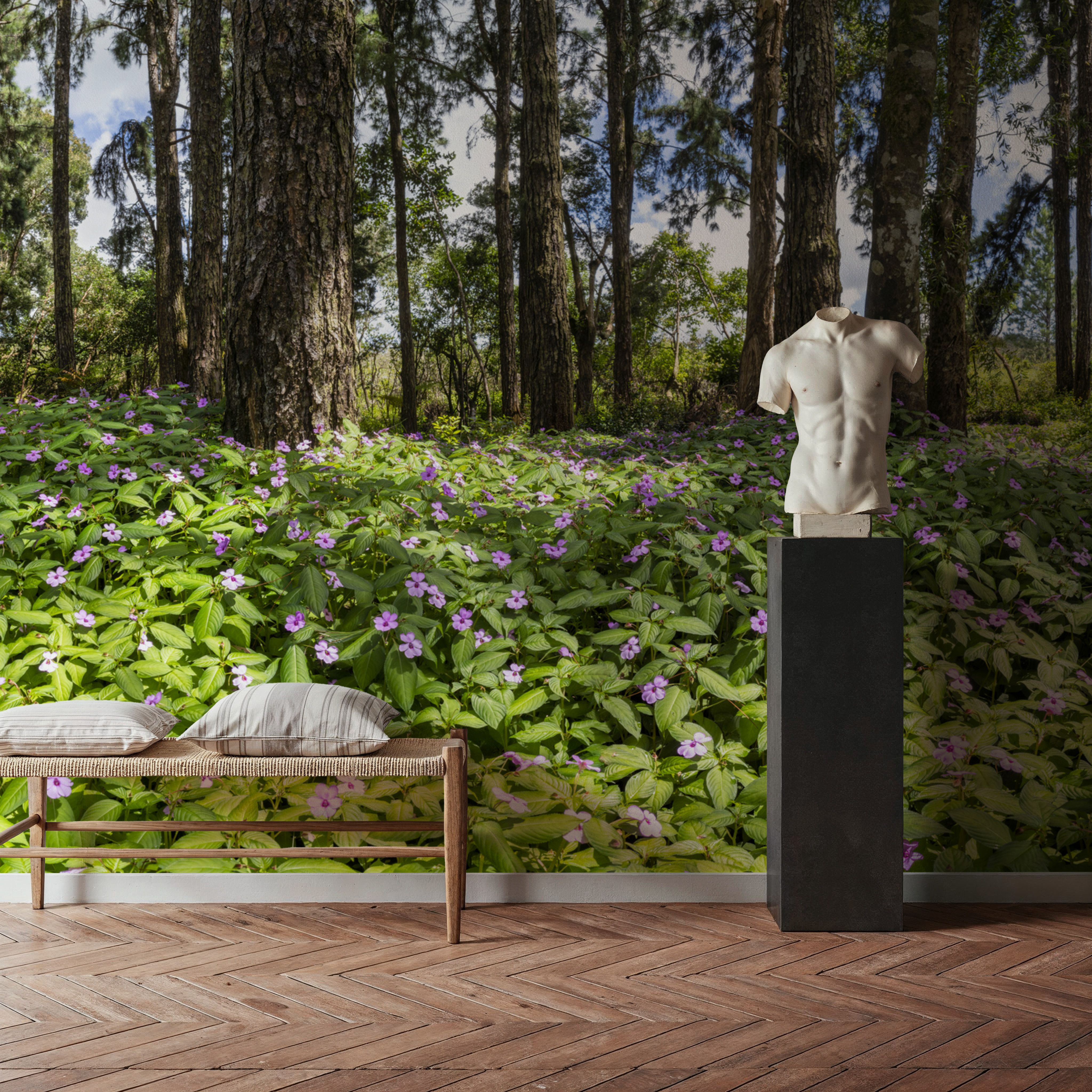 Eucalyptus Woods