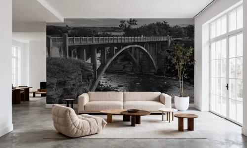 Lundbreck Falls Bridge BW