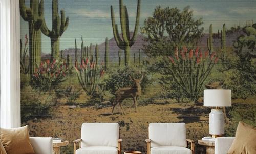 Greetings from Tucson Moutain Park - Screenprint Postcard