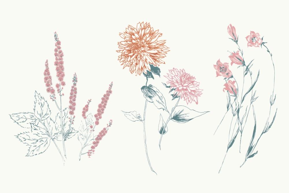 Flowers on White VIII