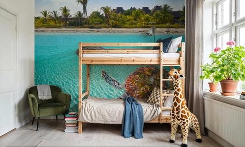 Tropical Turtle Paradise